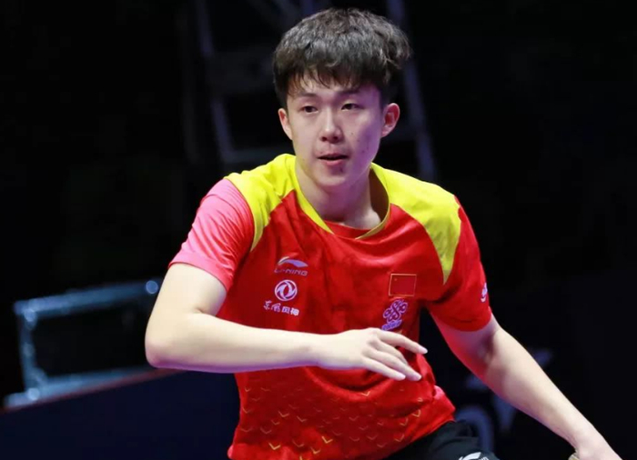 竞技和观赏 竞技和观赏