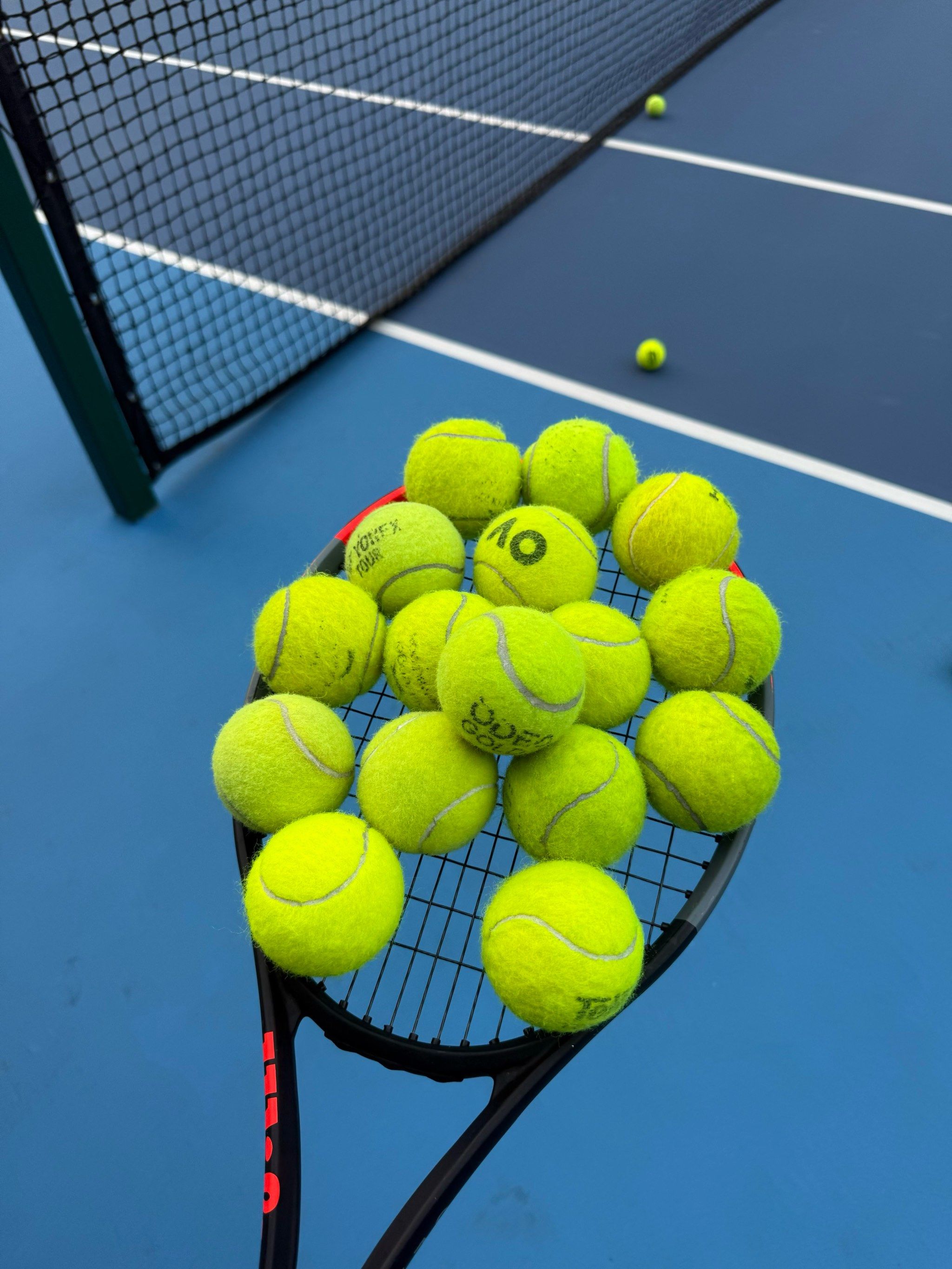 是肯定也是 是肯定也是